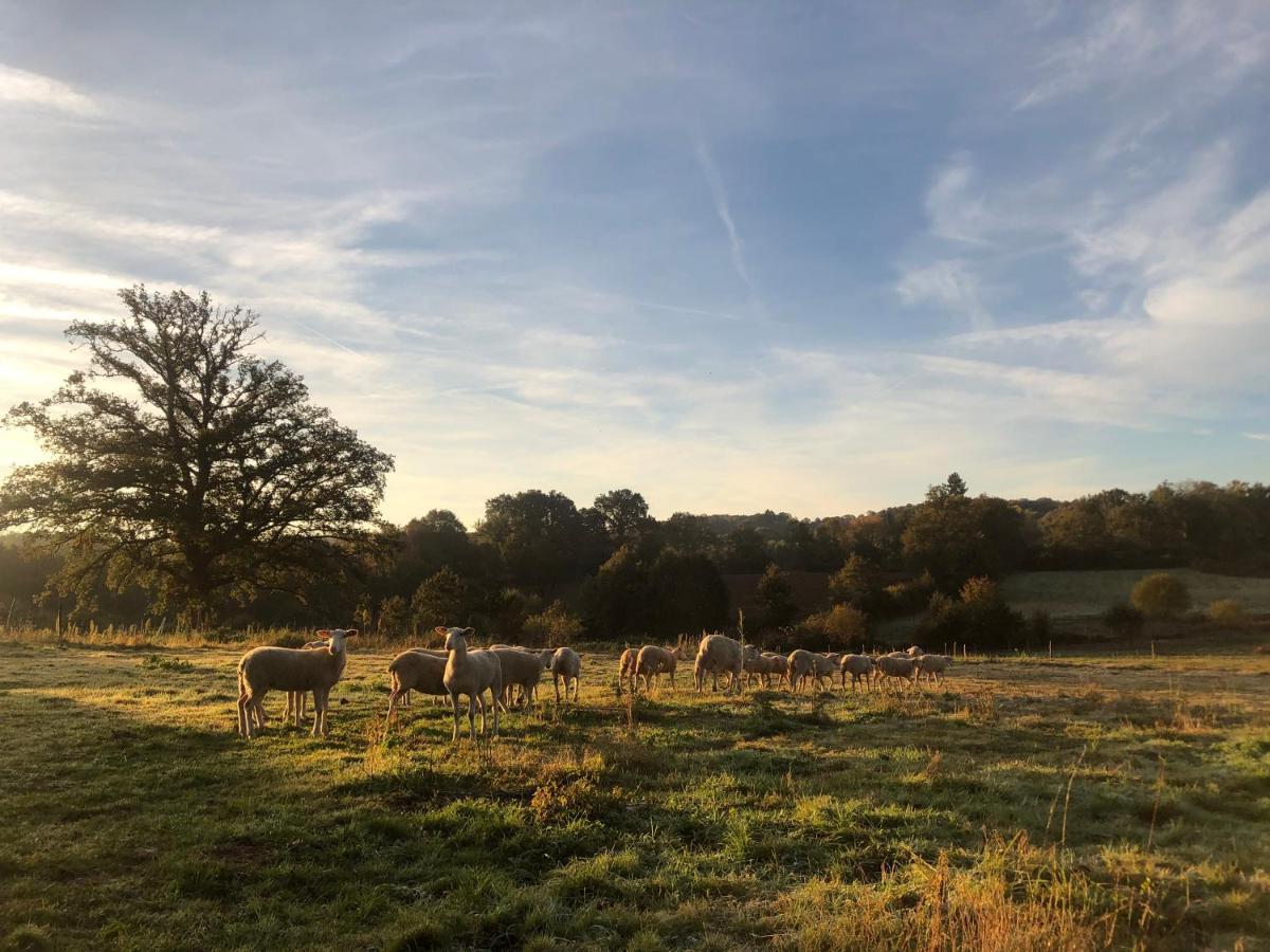 La Ferme Aux Cinq Sens Villa Bussiere-Boffy Bagian luar foto